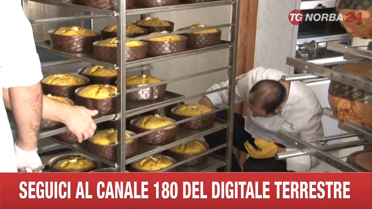 ACERENZA IL PANETTONE PIU' BUONO D'ITALIA