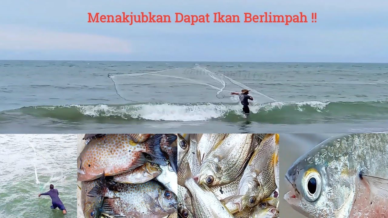 Menakutkan ‼️ Jala Ikan Dalam Ombak Pasang Laut, Lihatlah Hasilnya Di Luar Perkiraan 