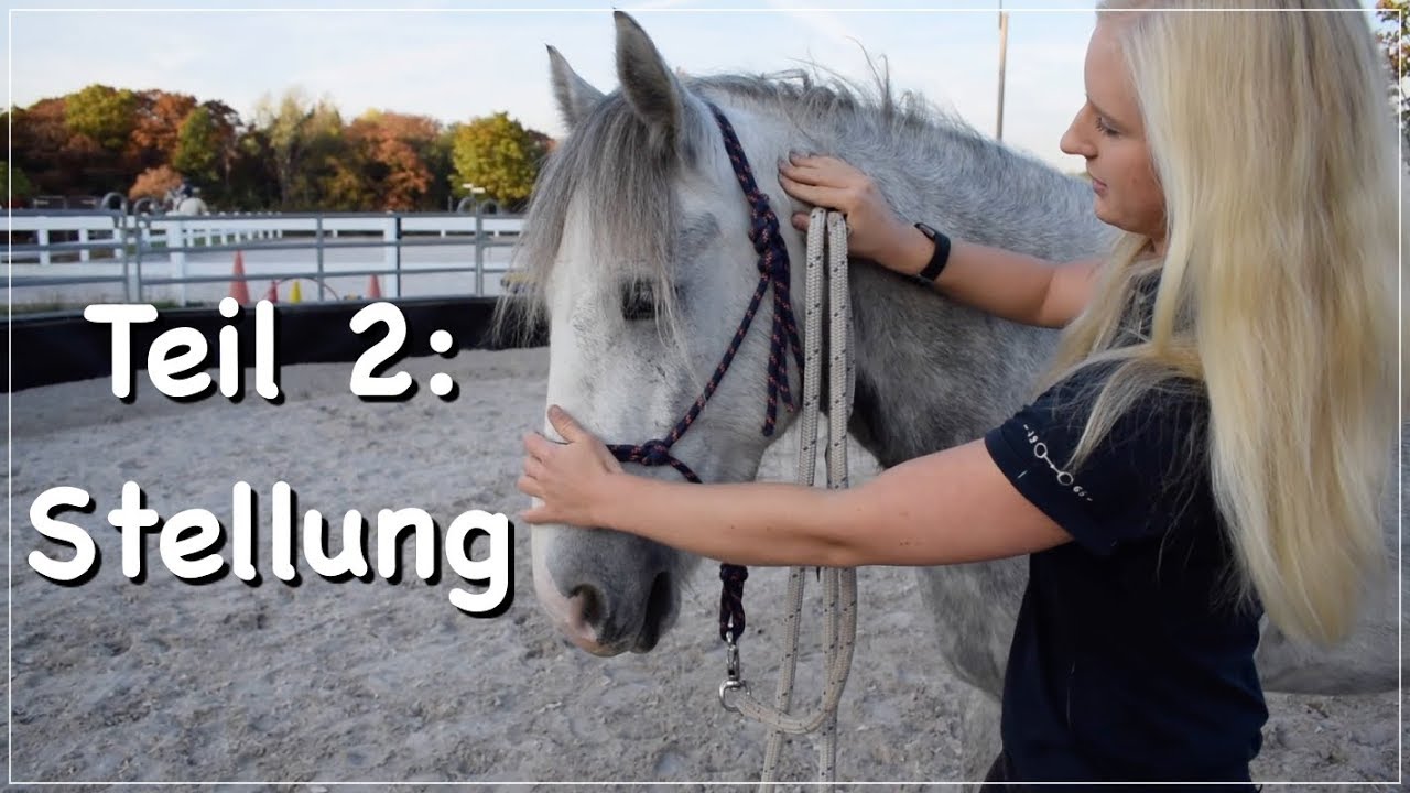 Natural Horsemanship: gymnastizierende  Arbeit vom Boden