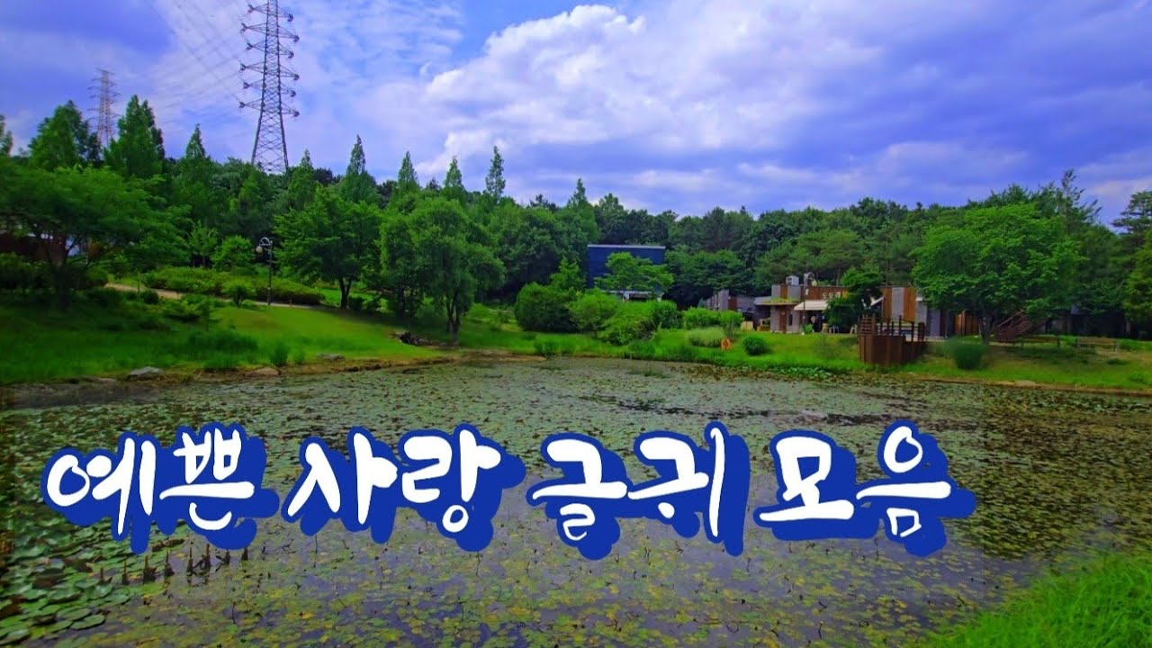 예쁜 사랑 글귀 모음 /좋은글 #좋은글귀 #공감글