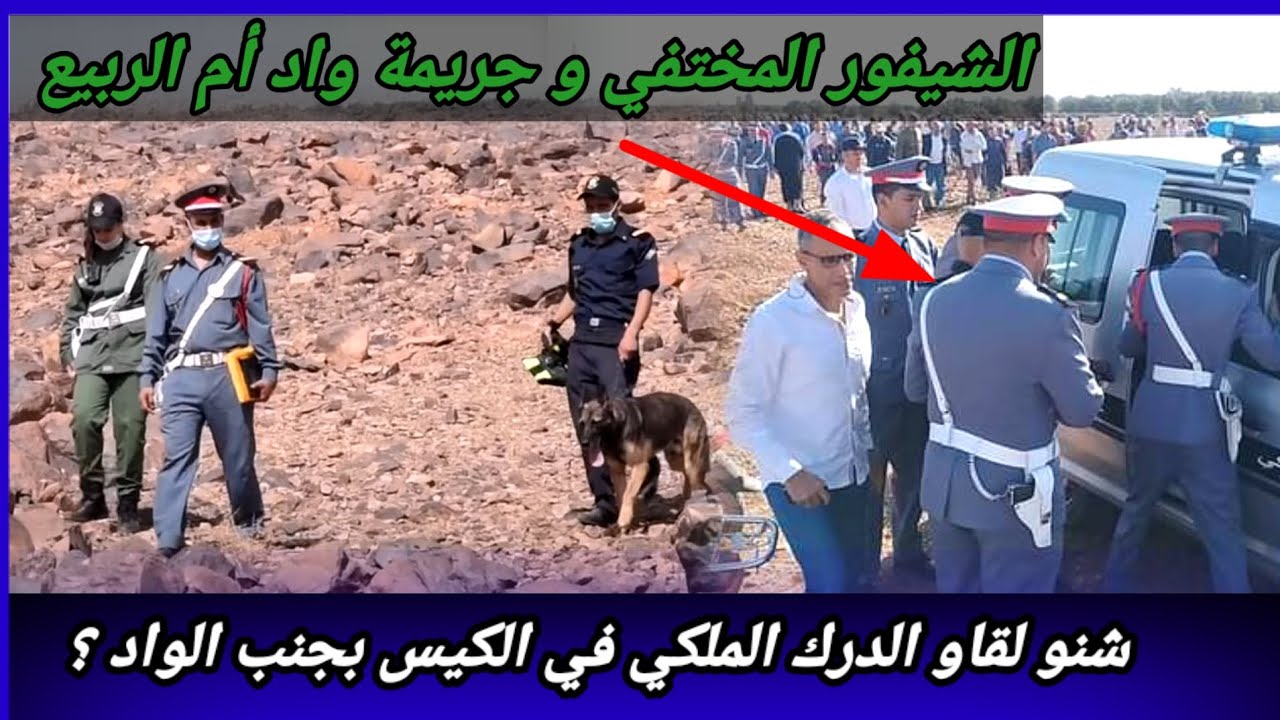 حلقة569,الشيفور المختفي،لقاوه في كيس بجانب واد أم الربيع،التحريات تكشف عن اللغز المحير،كيفاش حصل،قصص
