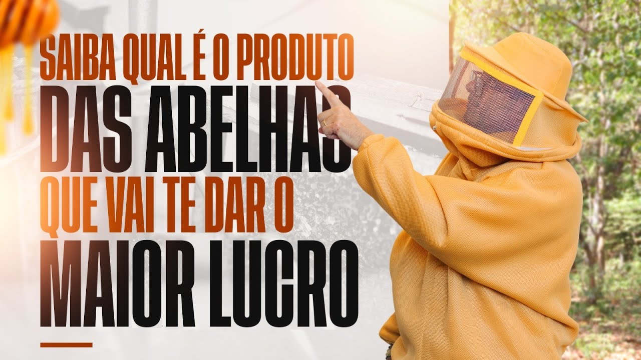 Saiba quais s&atilde;o os produtos das abelhas que v&atilde;o multiplicar seu faturamento