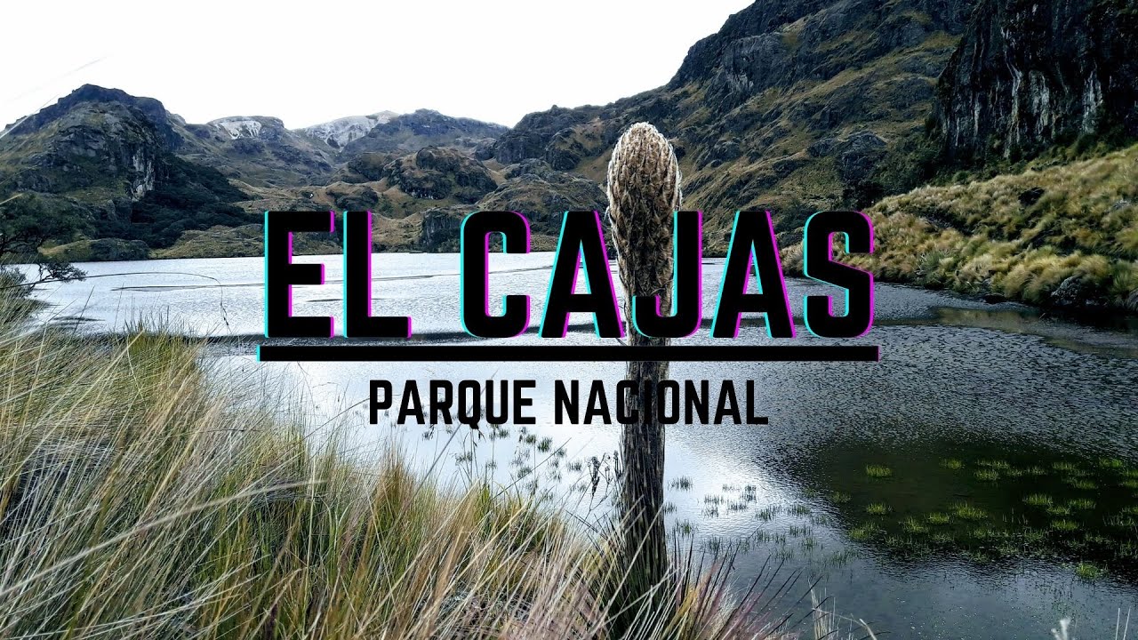 Documental Ecuador [ PARQUE NACIONAL EL CAJAS]