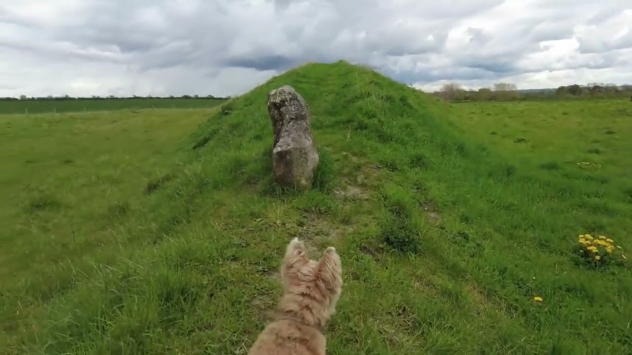 A tour of the Long Barrow at All Cannings, Wiltshire #burials #tomb