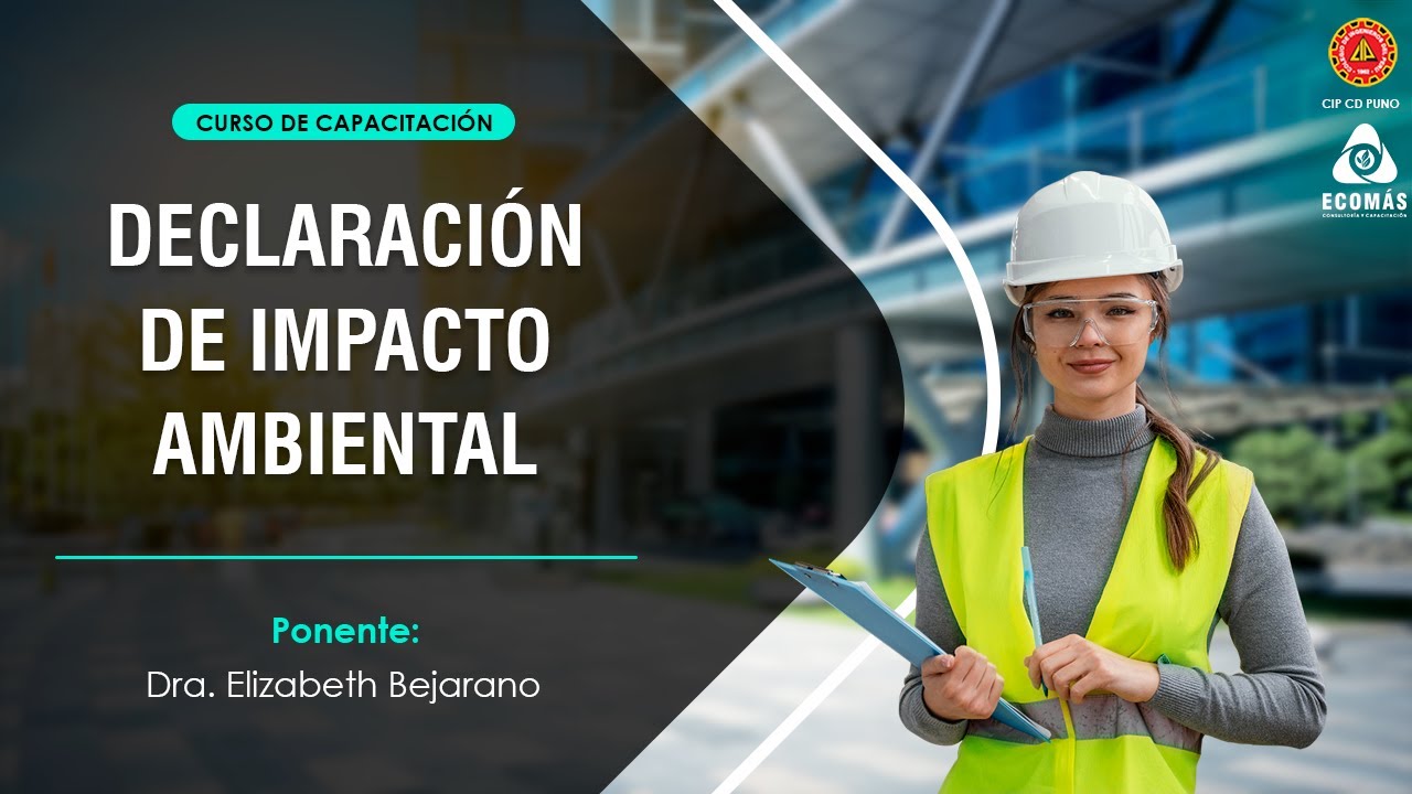 Declaración de Impacto Ambiental