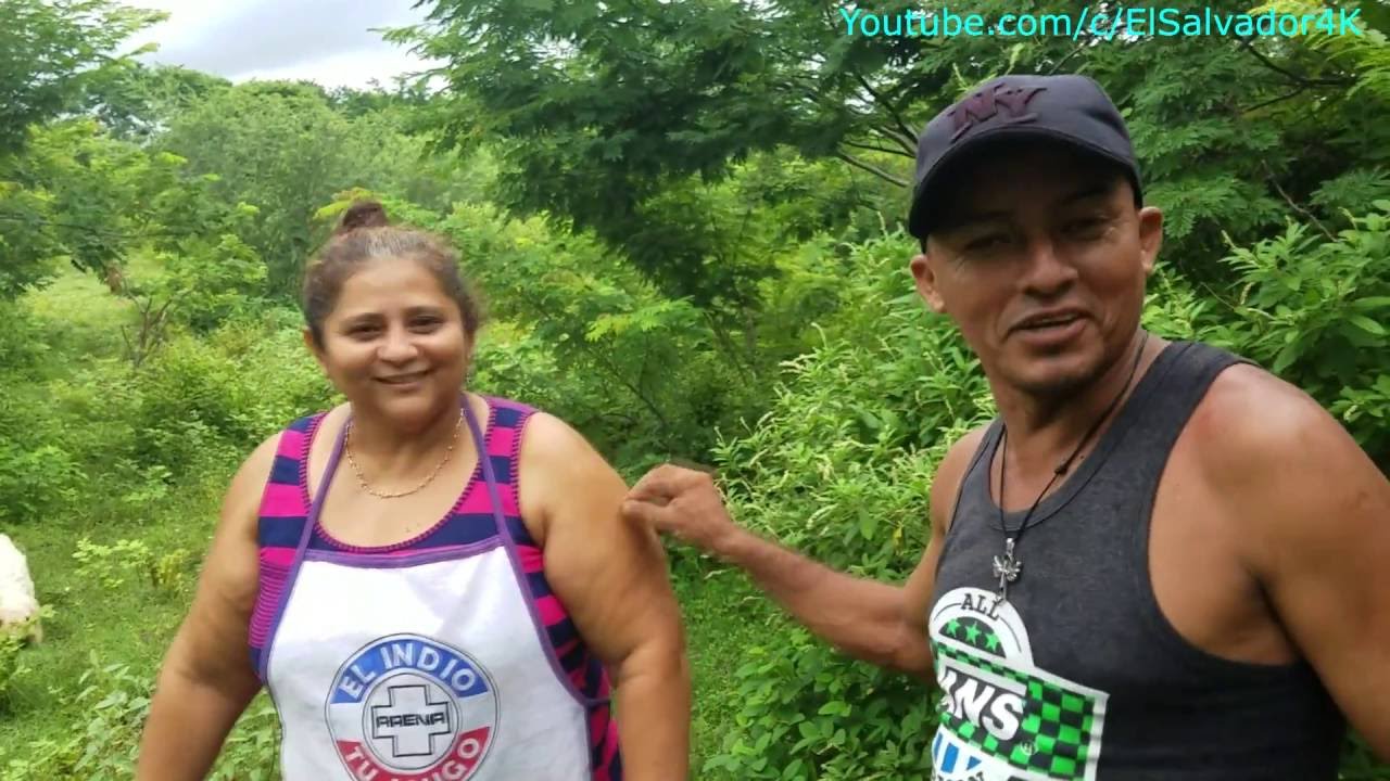 Gladis y Don Barrbas: La Reubicaci&oacute;n de las avispitas en vez de quemarlas.