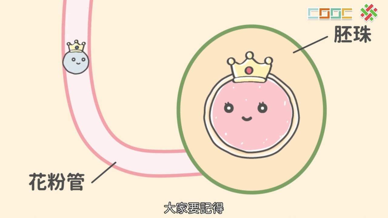 108新課綱｜七下生物｜【觀念】植物的有性生殖