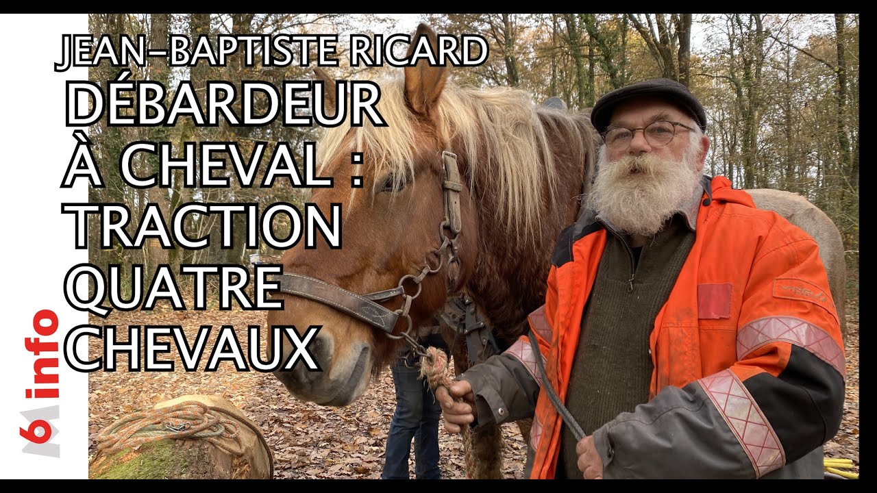 JEAN-BAPTISTE RICARD : DEBARDEUR A CHEVAL
