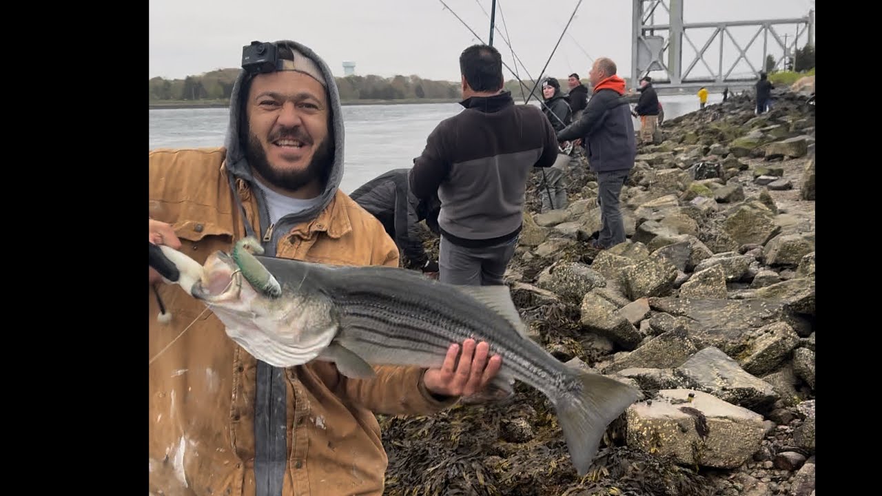 Cape cod canal fishing 2024
