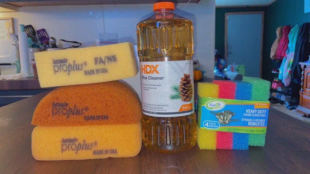 ASMR | HDX yummy pine squeezes 😋🧽🫧🌲 #asmr #cometcay