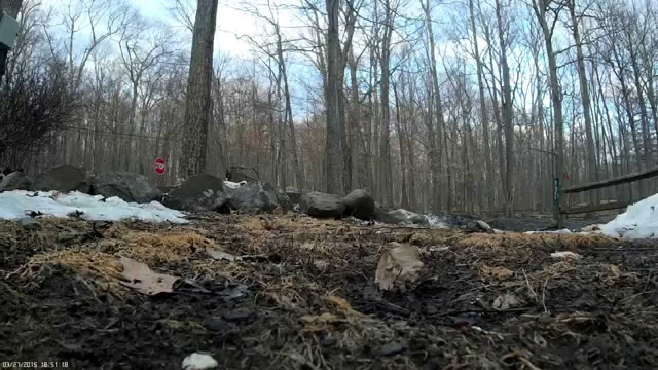 storm racing drone