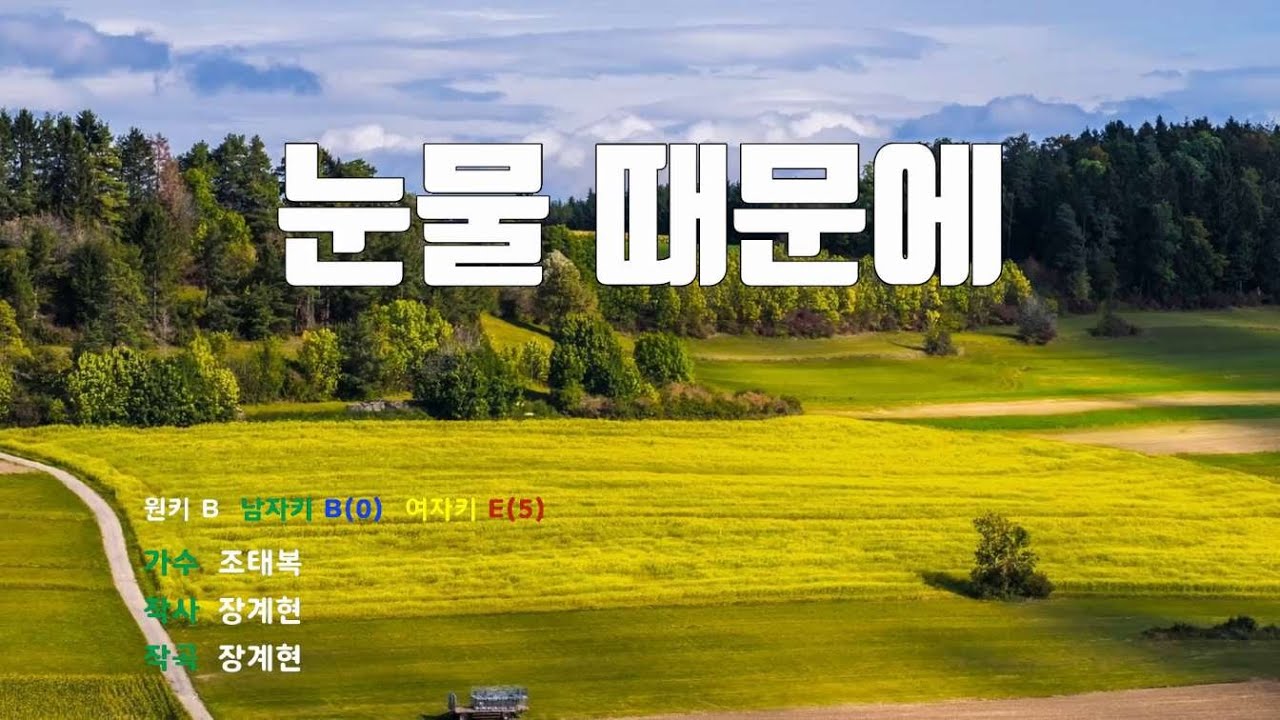 [은성 반주기] 눈물때문에 - 조태복