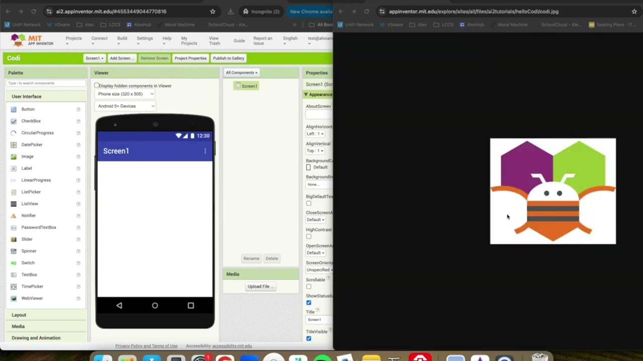 Buzzy Bee (Codi) Video Tutorial