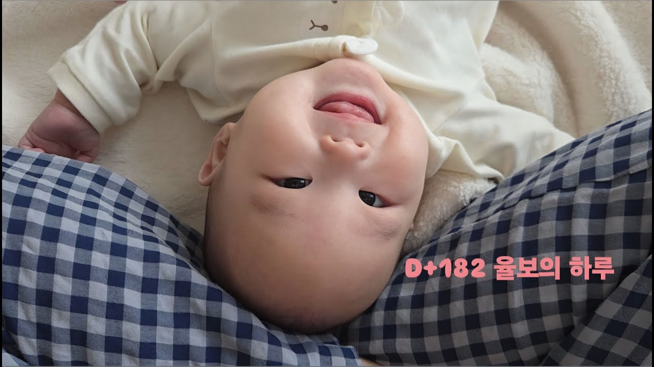 182일 아기의 하루