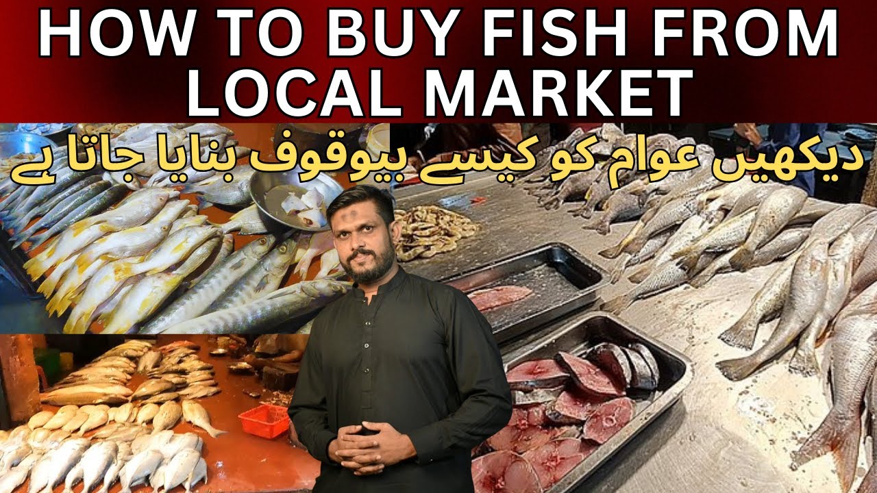 How to buy Fish from Pakistan's Fish Market Karachi Fishery | Karachi Fish Harbour Update