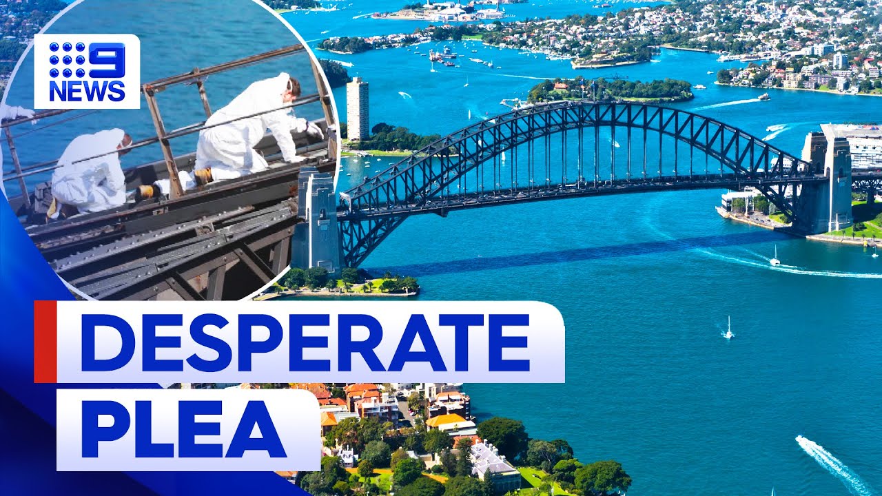 Government asks for help painting Sydney Harbour Bridge | 9 News Australia