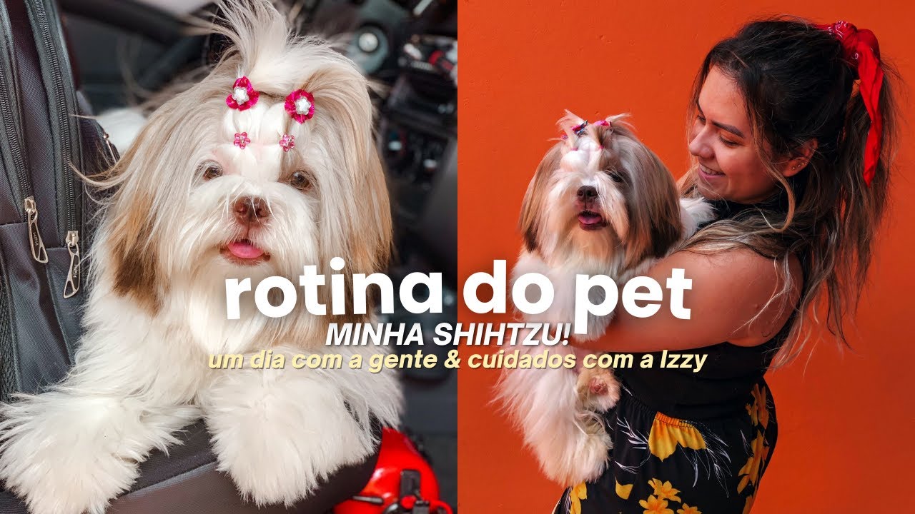 ROTINA DA MINHA SHIHTZU | VLOG