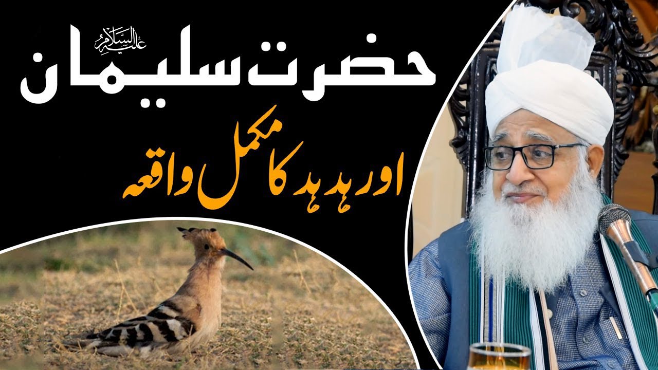 Hazrat Suleman Alaihe Salam | Or | Khud Khud Ka Waqia | By | fatwa Tv