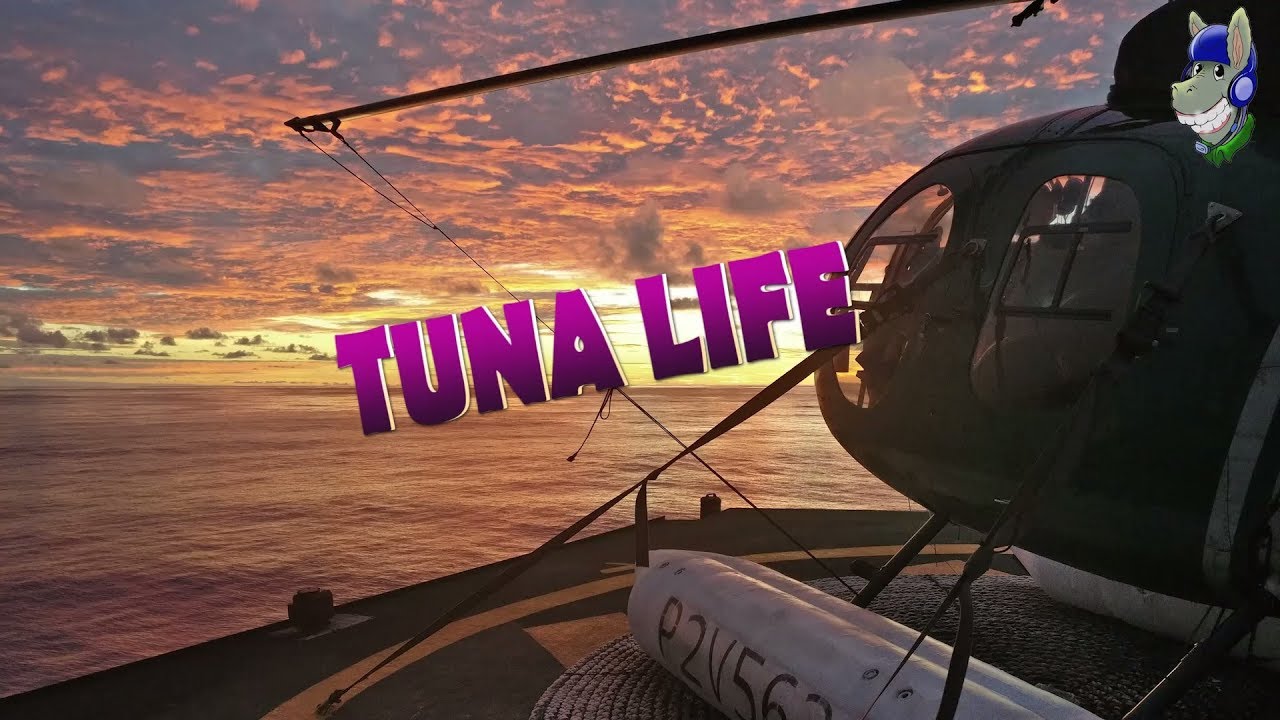 The DONKEY Pilot presents: Tuna Life - with MD500 Helicopter in the Pacific Ocean!