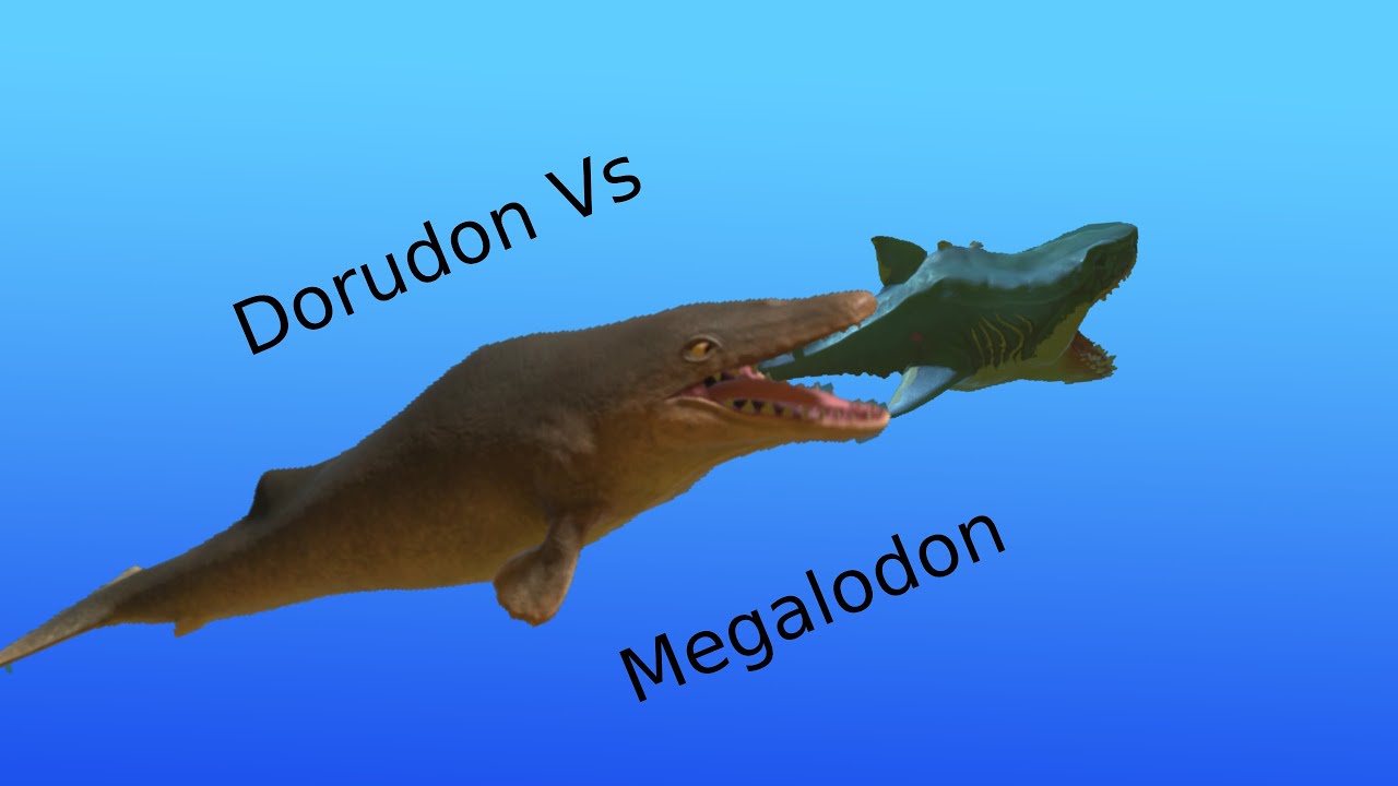 Feed & Grow  Fish Dorudon Vs Megalodon