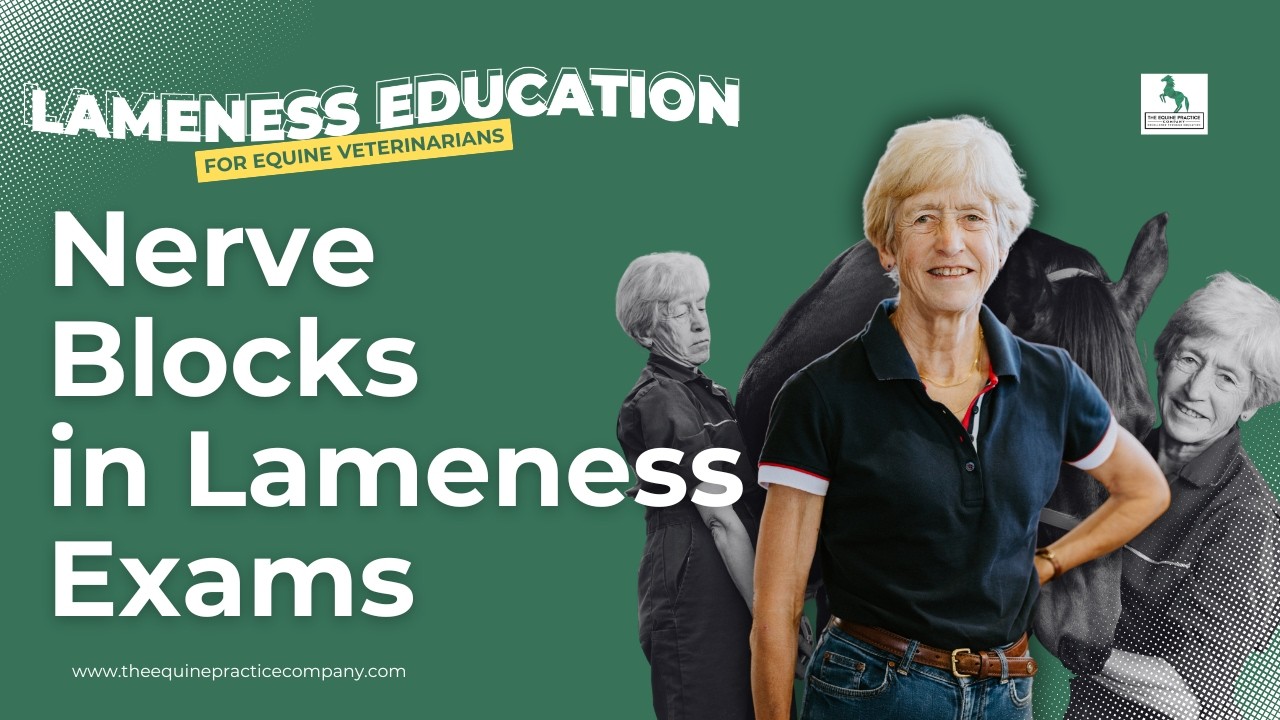 Nerve Blocks in Lameness Exams: Why the AAEP Scale Falls Short
