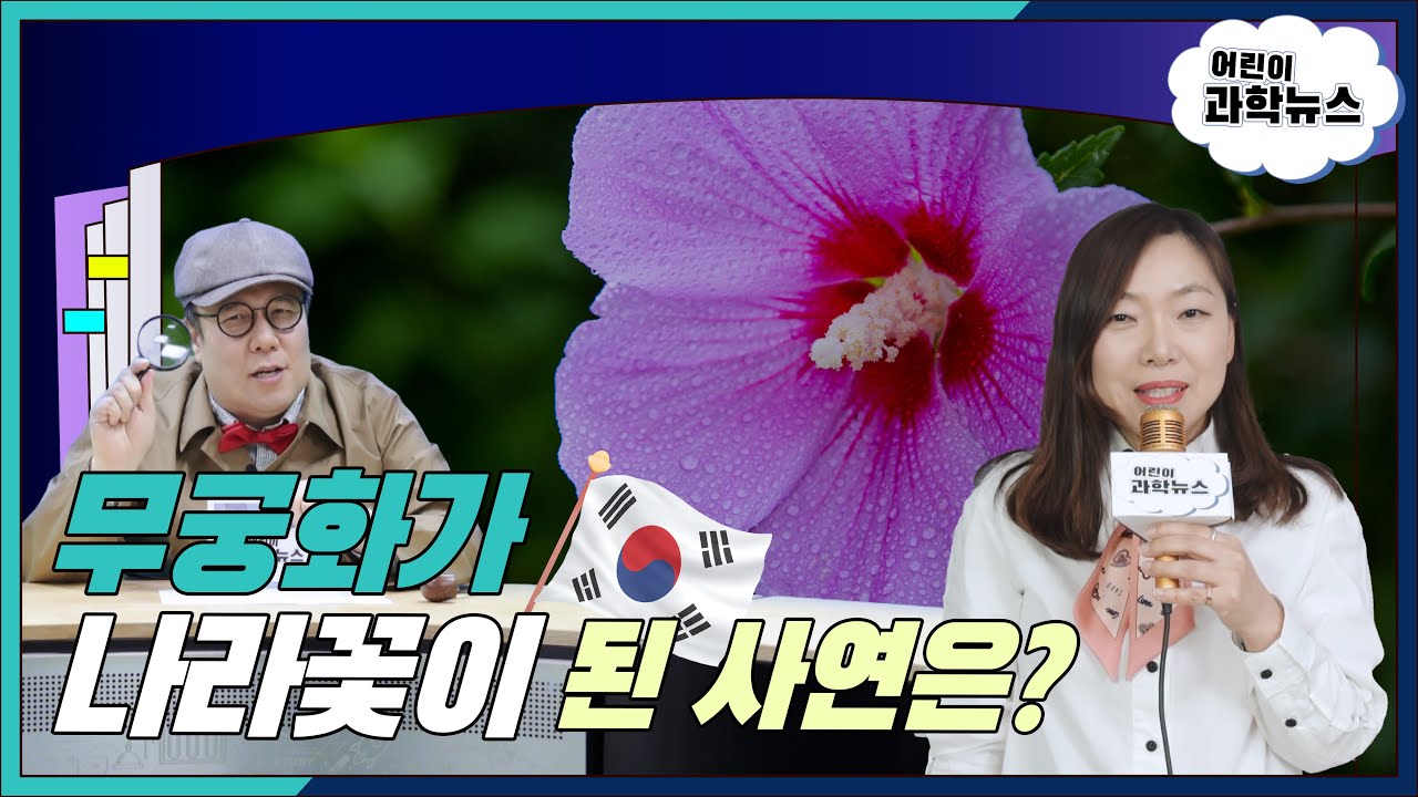 🌺무궁화(Hibiscus)는 어떻게 우리나라를 대표하는 꽃이 되었을까??ㅣ어린이과학뉴스 8월호