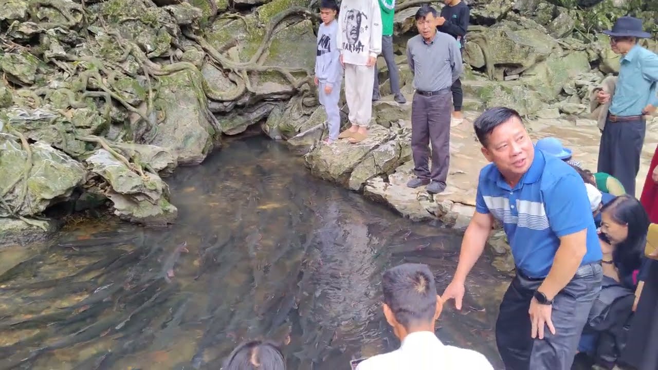 Lần Đầu Đến Suối Cá Thần Cẩm Thủy Thanh Hóa Rất Nhiều Khách Du Lịch Vào Ngày Cuối Tuần | Khảm Vlogs 