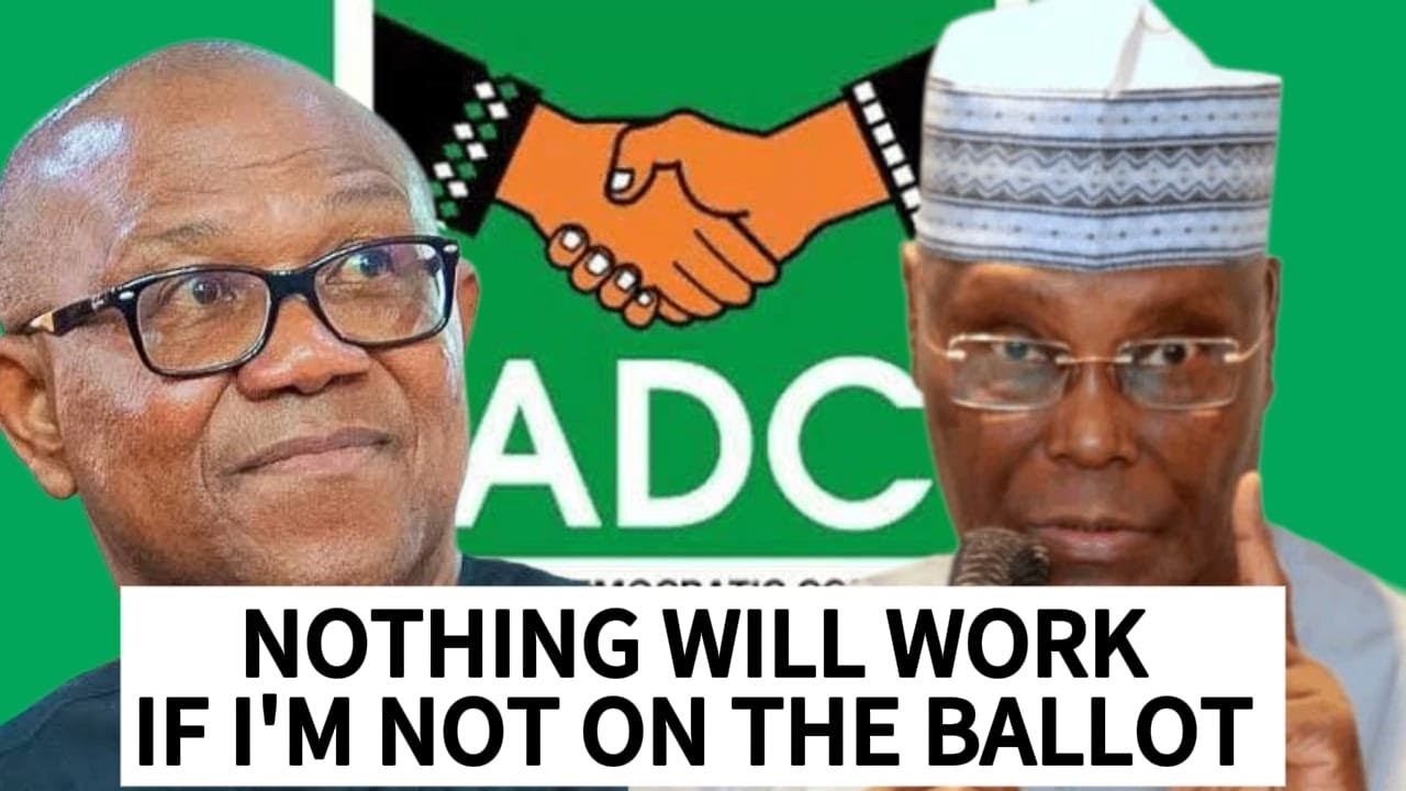 Nothing Will Work If I'm Not on the Ballot