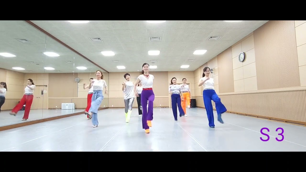 One Night Only- WDM Novice Line Dance (Demo)