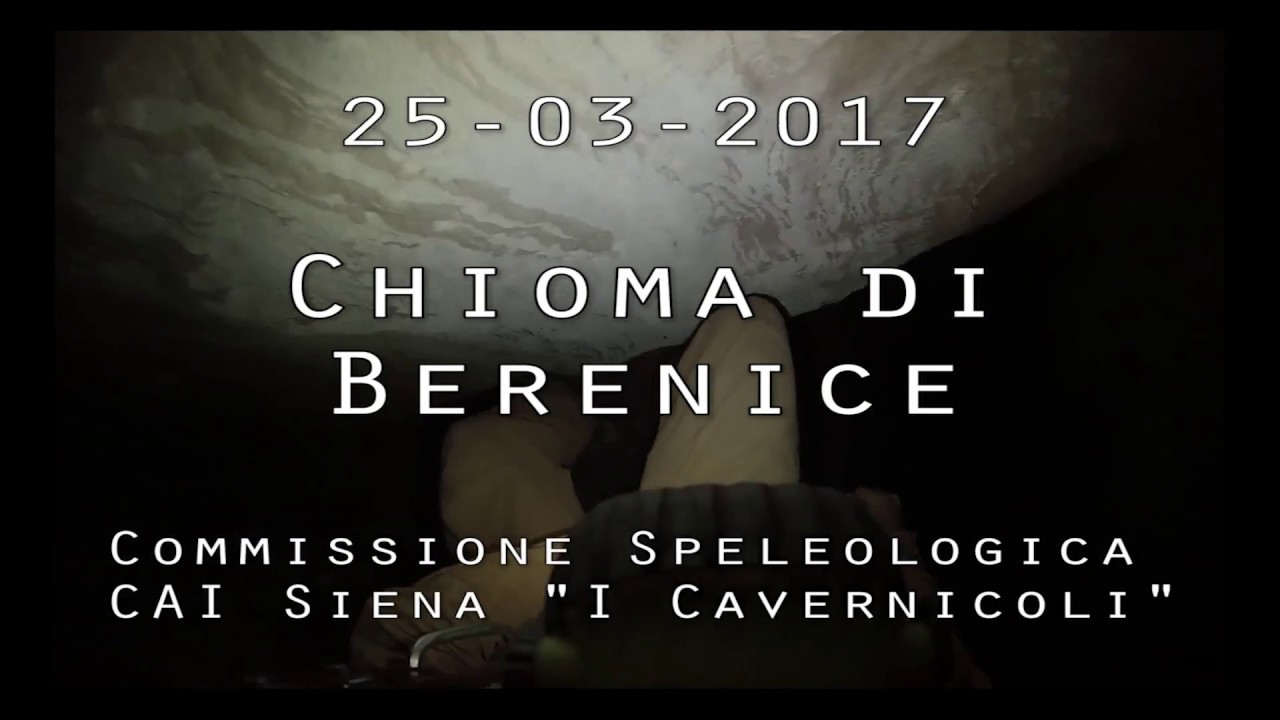 Chioma di Berenice - Montagnola Senese