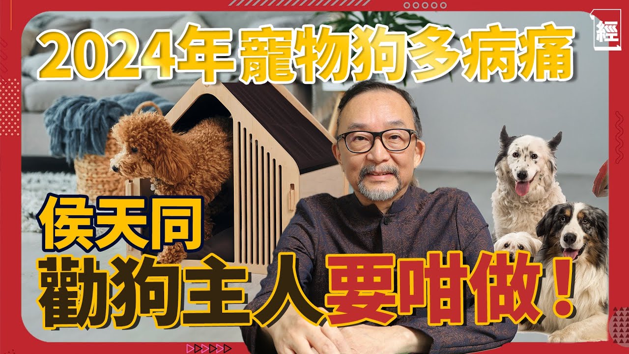 2024 龍年運程 侯天同：寵物狗易出現兩大健康問題？犯太歲生肖化解改運方法 2024幸運數字及顏色 財運最好生肖 脫單錦囊｜風水｜愛情｜情緒｜腸胃｜裝修｜六合彩｜事業運｜吉星凶星｜九運｜馬豬牛兔蛇雞