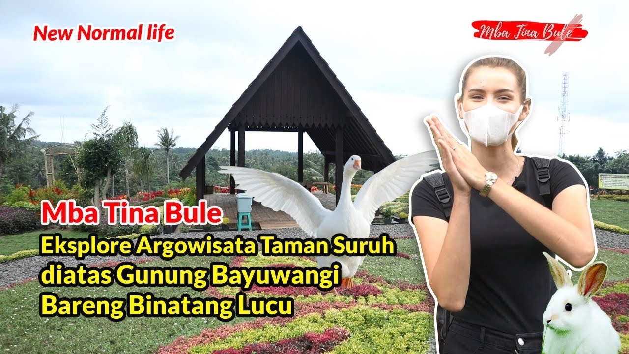 Mba Tina Bule Agrowisata Kebun Bunga di Atas Gunung Banyuwangi !!!