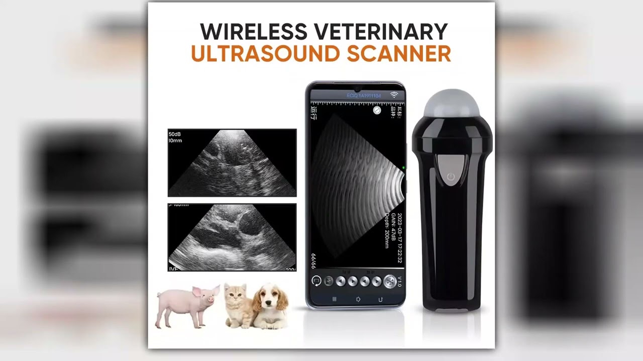 Portable Veterinary Ultrasound Scanner Wireless for Pigs Dogs Sheep IP67 Probe Handheld Ultrasound