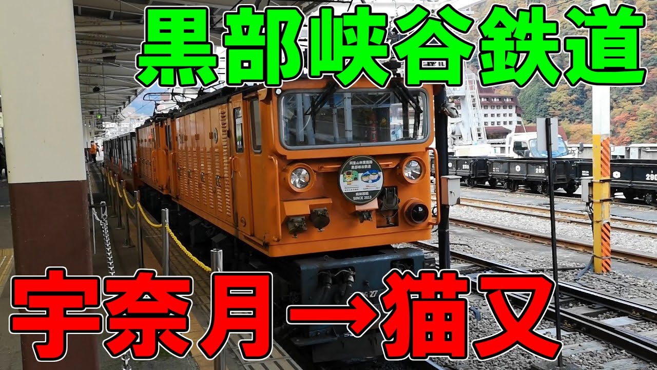 黒部のトロッコ列車　猫又折り返し運転に乗ってみた＆富山地方鉄道の特急くろべに乗ってみた