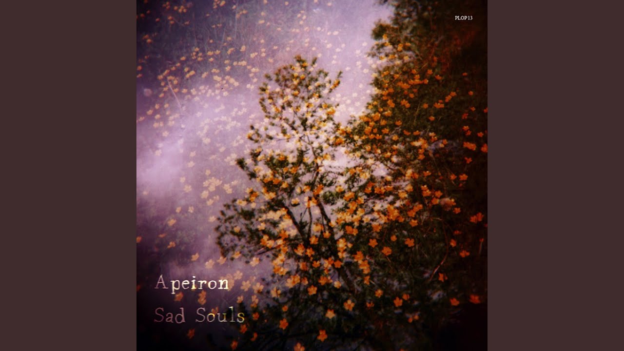 In a Forest With Leaves in Your Hair