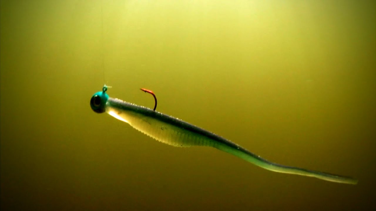 Soft Bait Magic - Lindner's Angling Edge 2013 S2