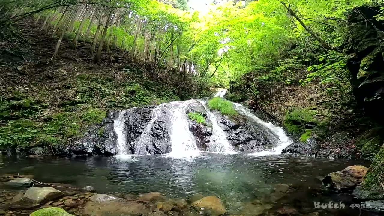 【531-26】【菅平の滝】【東京都 檜原村】 【ブッチの3分タッキング】【202306】【1080ｐ60fps】【Japan waterfalls】