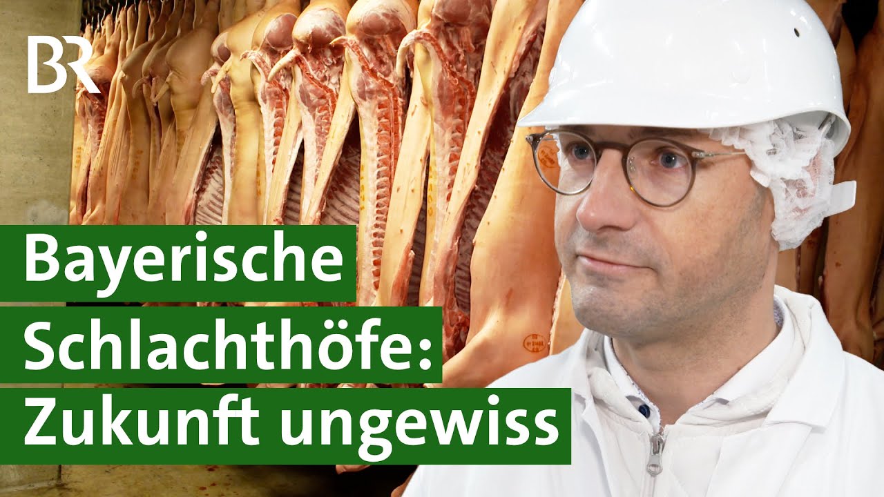 Ungewisse Zukunft: Viele regionale Schlachthöfe vor dem Aus? | Unser Land | BR