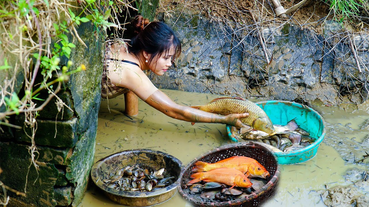 60 busy days Harvesting Fish, Snails, Mussel & Vegetables goes to Market Sell - Build a Green Garden