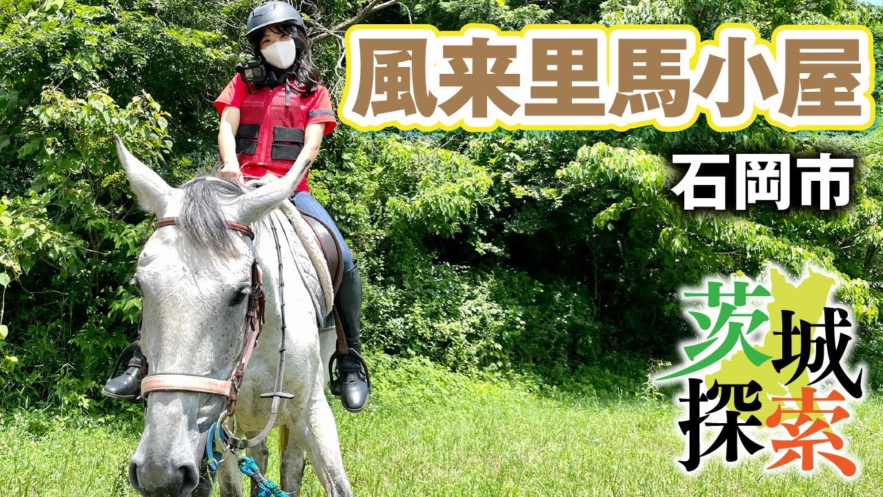 【茨城探索】風来里（ふらり）馬小屋。初の乗馬体験！！かわいいメグちゃんの背中に乗って石岡の林道をトレッキングしてきました【茨城県石岡市】【vlog】
