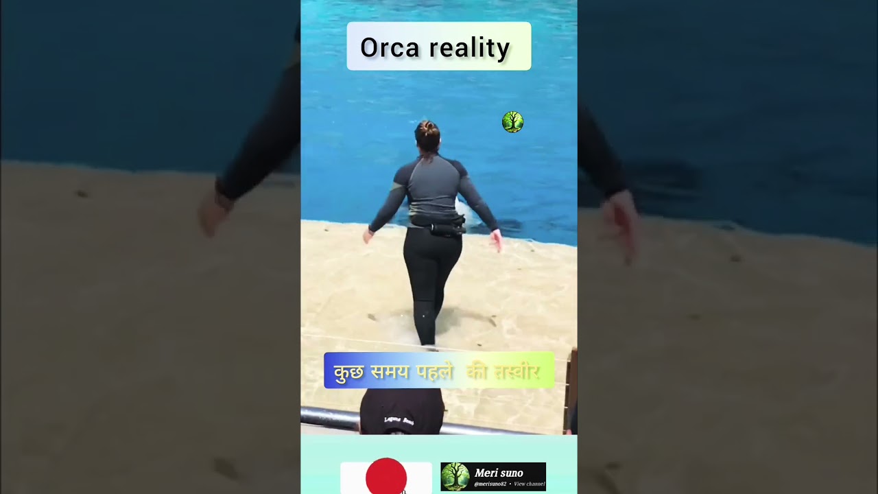 Jessica and orca fack and reality #freak2fr