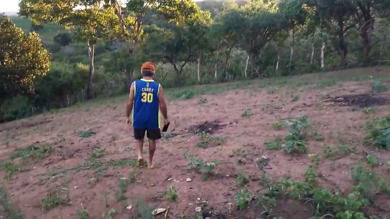 HOJE FOI DIA DE VISITA O AMIGO / MOSTRANDO SUAS PLANTAÇÕES. 