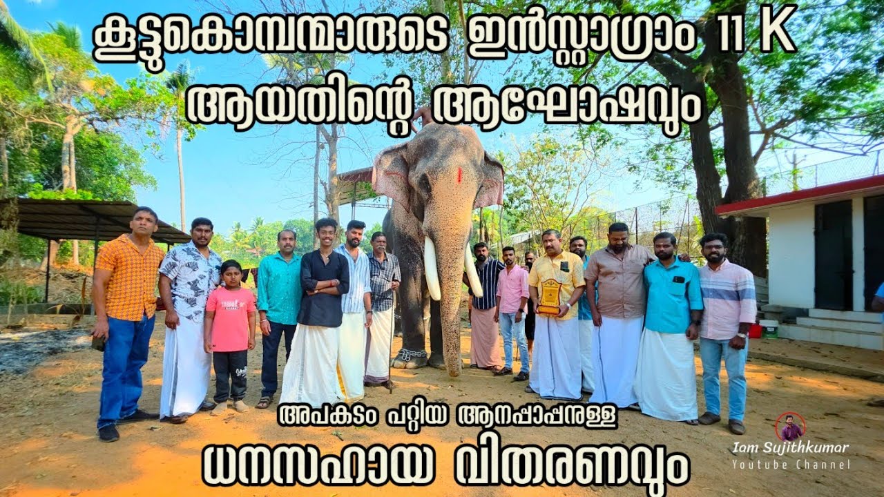 കൂട്ടുകൊമ്പന്മാരുടെ ഇൻസ്റ്റാഗ്രാം 11 K ആഘോഷം | ധനസഹായ വിതരണവും | Thechikkottukavu Ramachandran