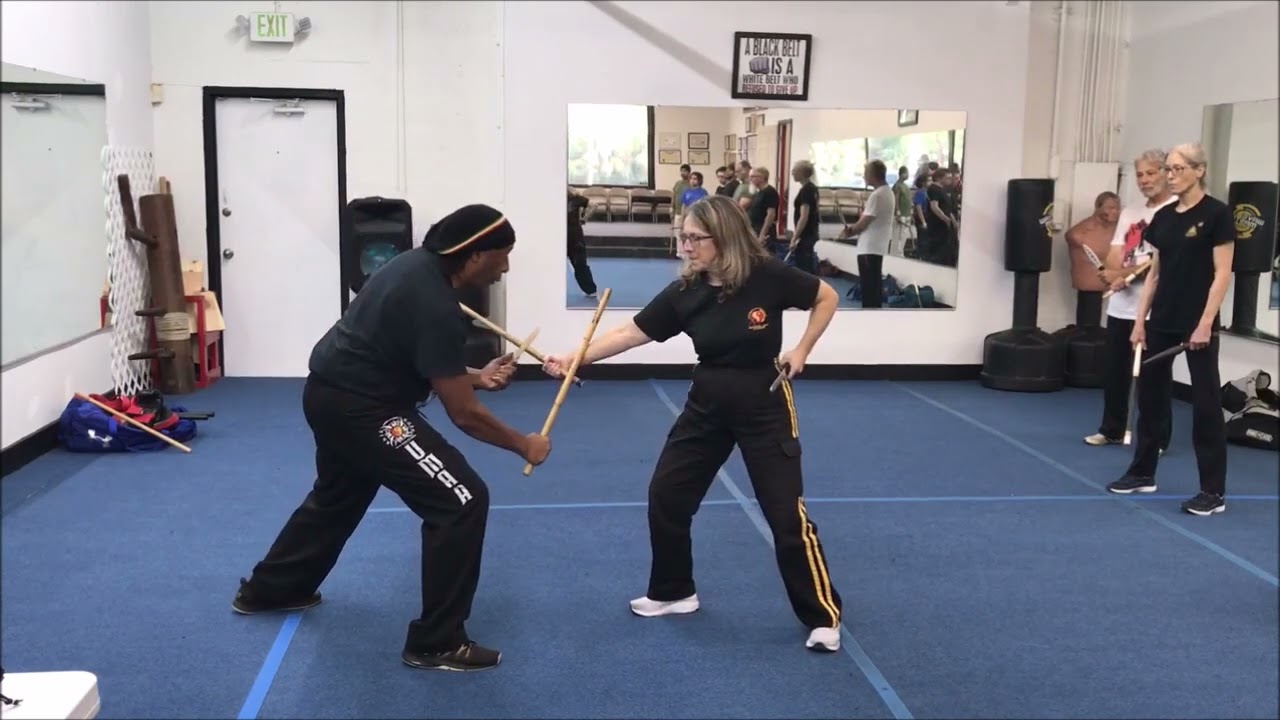 Introduction to UMAA Numerada Progression