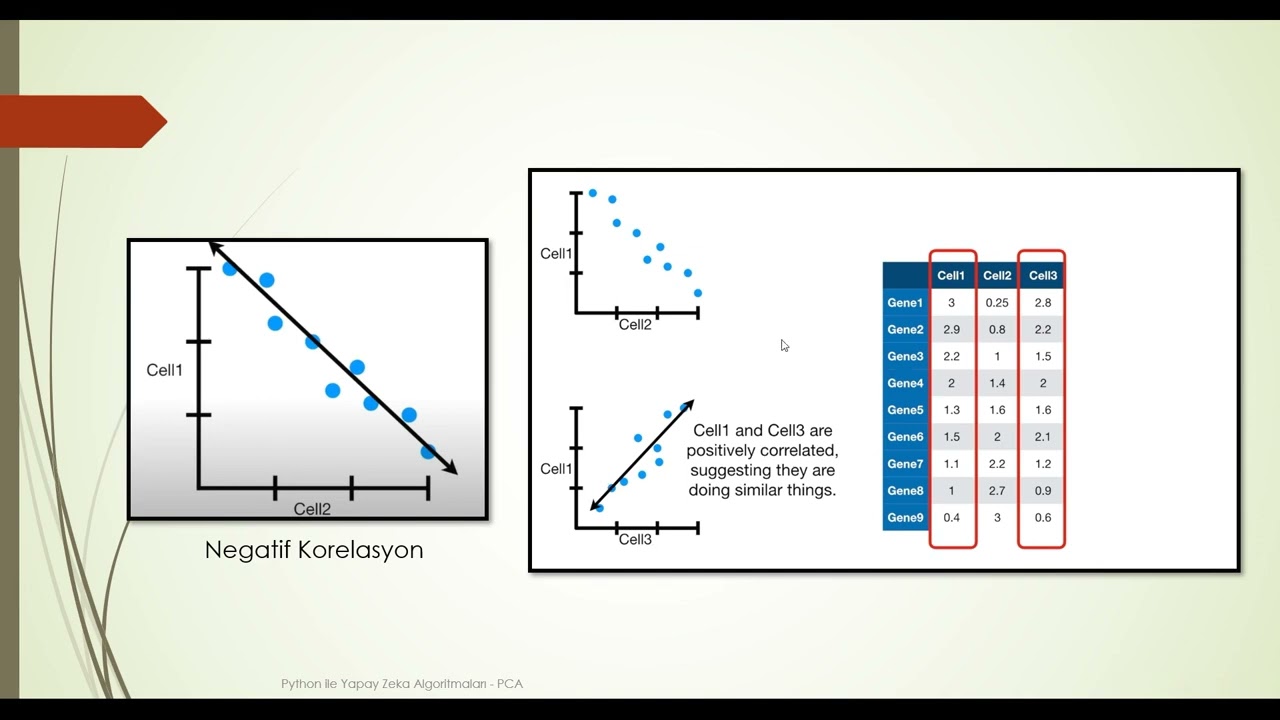 Boyut İndirgeme: Principal Component Analysis (PCA) Algoritması Konu Anlatımı