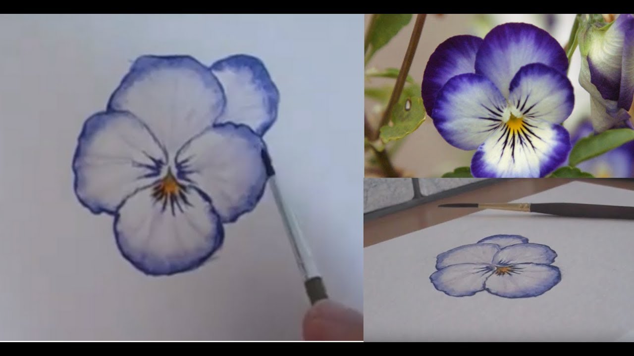 Pensée à l'aquarelle - 2018 Peindre les pétales