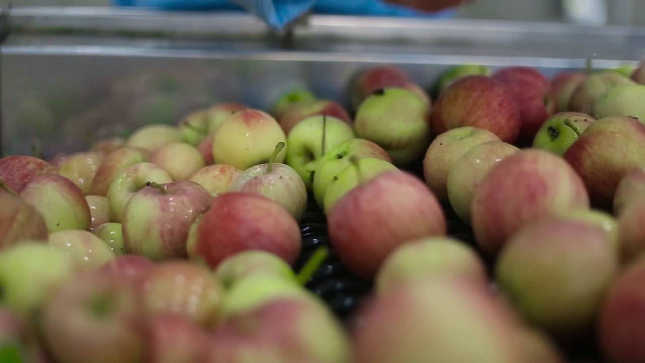 Soyuz Agro Contract LLC - Gusar Apples
