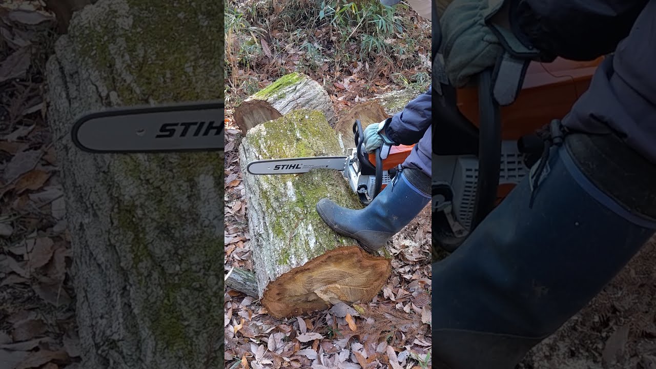 STIHL 　MS 230　試し切り