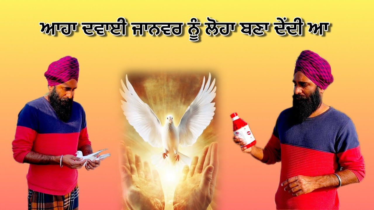 ਆਹਾ ਦਵਾਈ ਜਾਨਵਰ ਨੂੰ ਲੋਹਾ 🩸ਬਣਾ ਦੇਂਦੀ ਆ 