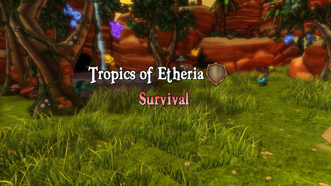 Tropics of Etheria Trapless and Minionless Armor Farm - Dungeon Defenders